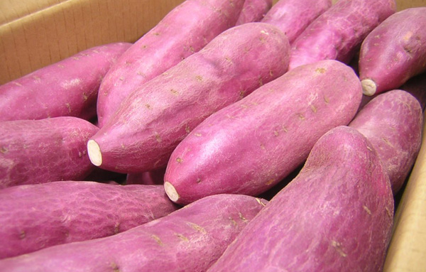 Chè khoai lang sữa dừa ngọt tan mát lạnh cho ngày nắng nóng