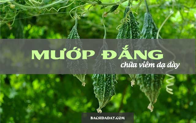 chữa đau dạ dày bằng mướp đắng