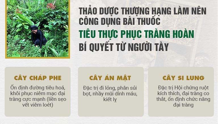 Thảo dược đặc trị - Bí quyết giúp bài thuốc có hiệu quả điều trị vượt trội hơn