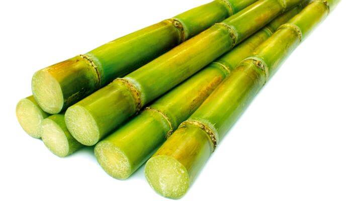Chữa đau dạ dày bằng mía Chữa đau dạ dày bằng mía