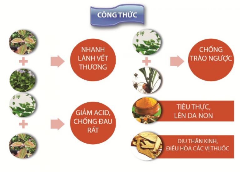 Công dụng chữa đau dạ dày của Tuệ Đức hoàn Vị Nguyên