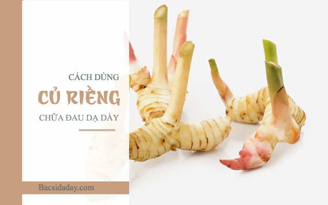 chữa bệnh đau dạ dày bằng củ riềng