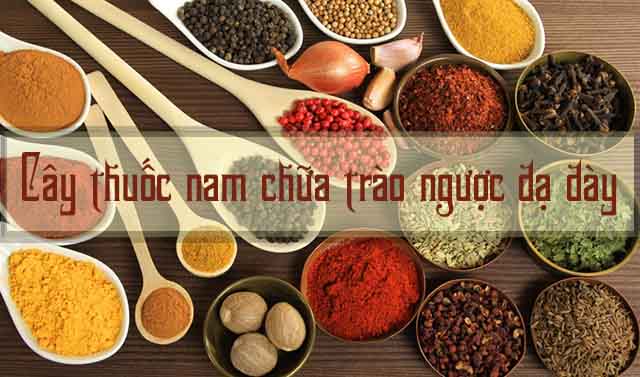 chữa bệnh trào ngược dạ dày bằng cây thuốc nam