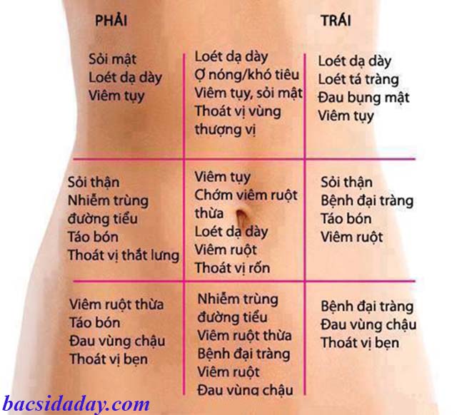 Vị trí đau dạ dày