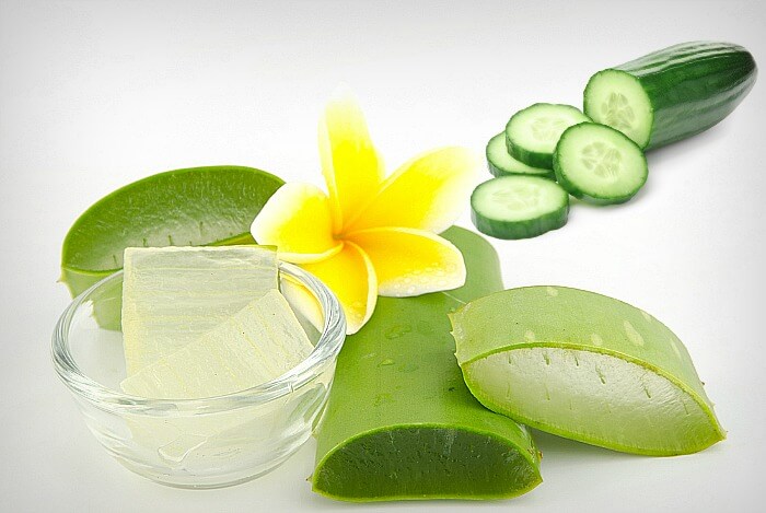 Công dụng chữa đau dạ dày bằng nha đam Công dụng chữa đau dạ dày bằng nha đam