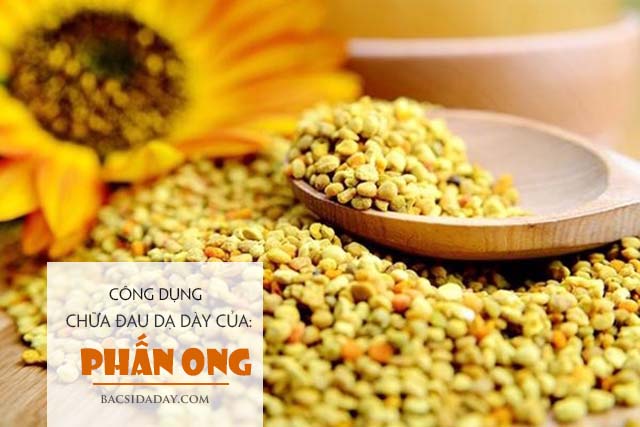 công dụng chữa bệnh đau dạ dày của phấn ong