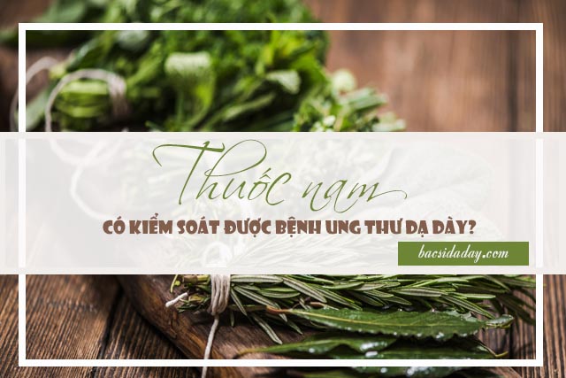 Chữa ung thư dạ dày bằng thuốc nam