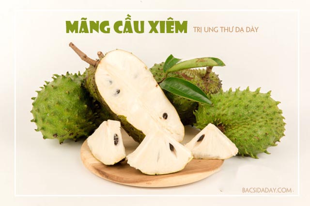 chữa bệnh ung thư dạ dày bằng thuốc nam