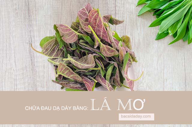 chữa đau dạ dày bằng lá mơ