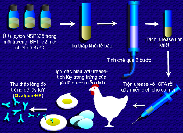 phuong-phap-dieu-tri-viem-da-day-hp-khang-thuoc-1