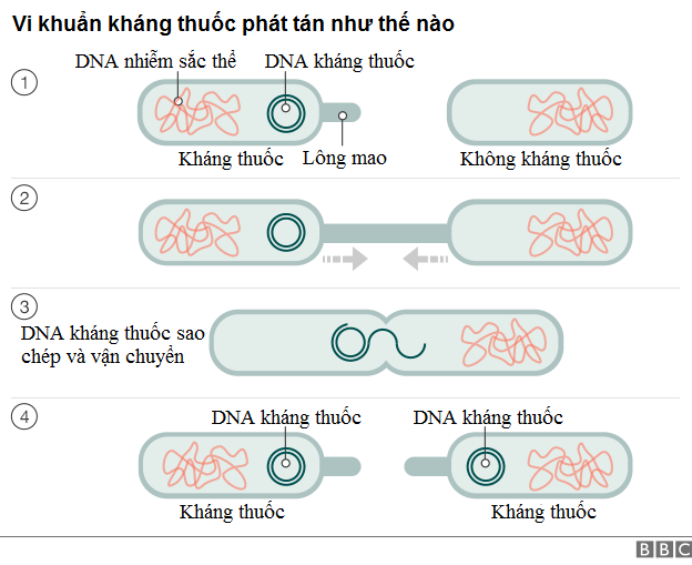 phuong-phap-dieu-tri-viem-da-day-hp-khang-thuoc