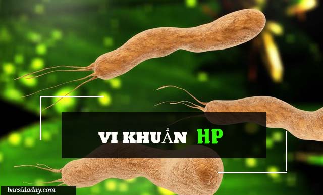 Phát đồ điều trị Hp