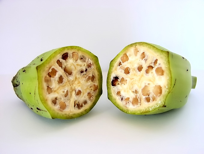 Cách dùng chuối hột trị đau dạ dày