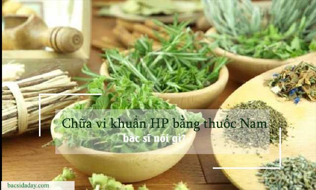 chữa vi khuẩn hp bằng thuốc nam