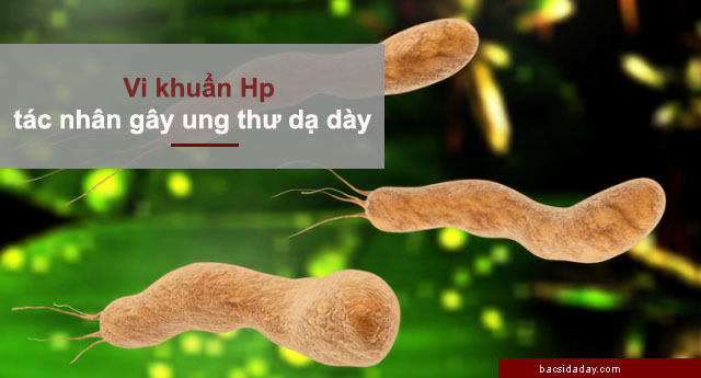 vi khuẩn hp gây ung thư dạ dày