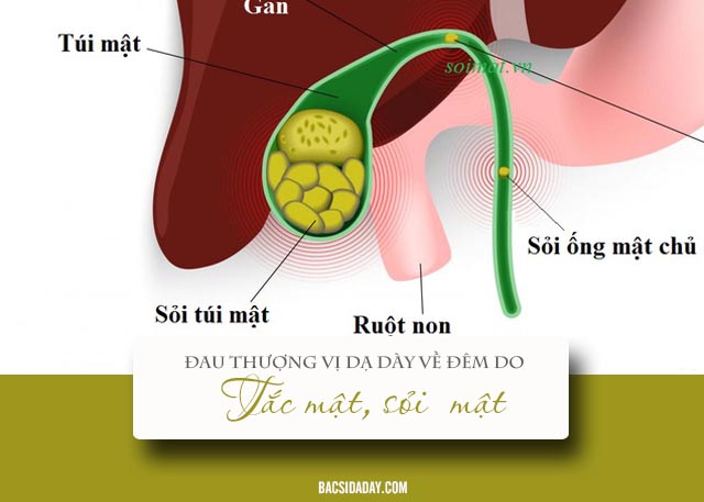  cơn đau thượng vị vào buổi tối là bệnh gì