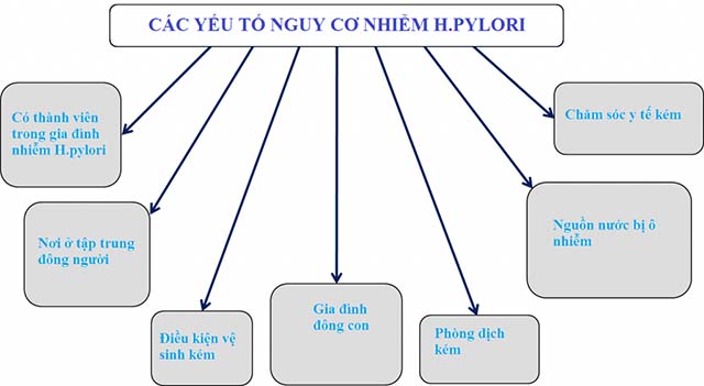 Nguyên nhân gây nhiễm vi khuẩn Hp