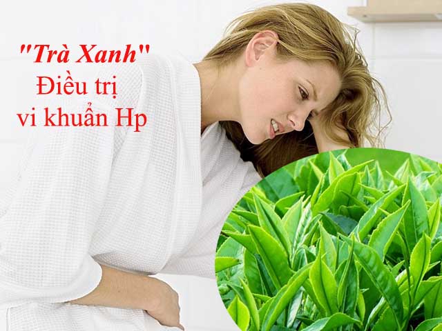 Điều trị vị khuẩn Hp bằng trà xanh