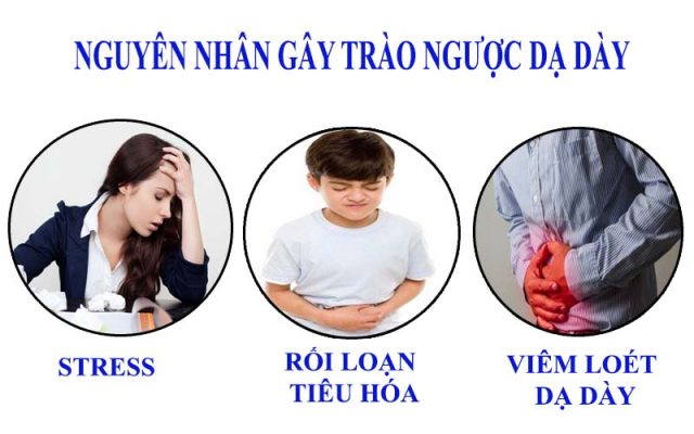 nguyên nhân trào ngược dạ dày thực quản