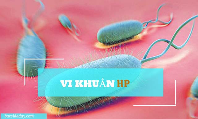 Vi khuẩn Hp