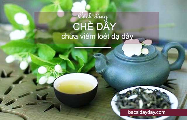 Cách dùng chè dây chữa viêm loét dạ dày