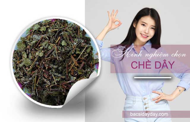 Cách chữa viêm loét dạ dày bằng cây chè dây