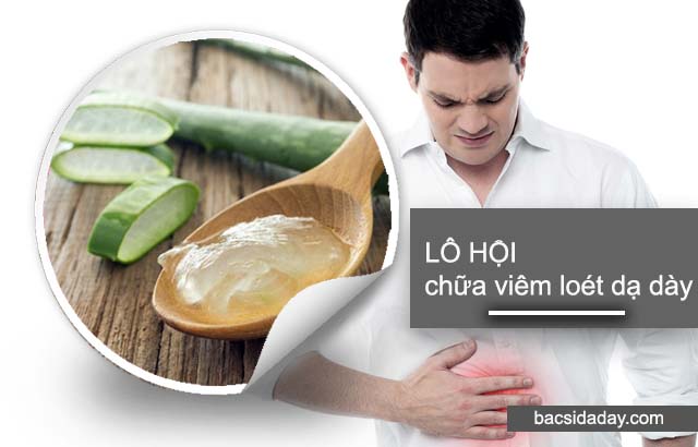 chữa viêm loét dạ dày bằng lô hội