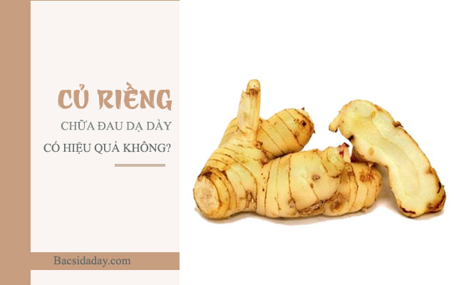 củ riềng trị bệnh đau dạ dày