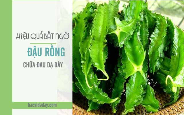 chữa đau dạ dày bằng đậu rồng