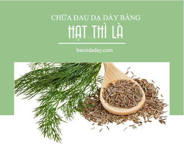 chữa đau dạ dày bằng hạt thì là