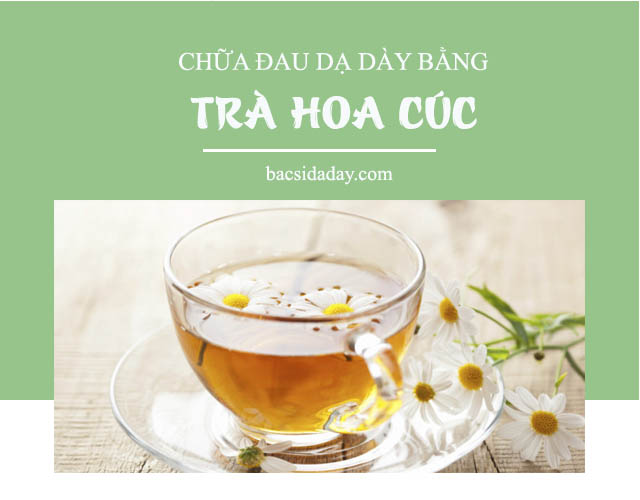 trà hoa cúc chữa đau dạ dày