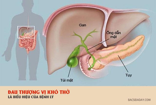 đau thượng vị và khó thở