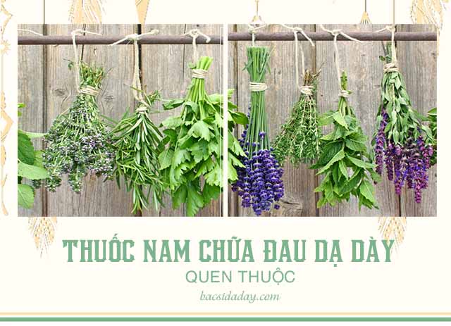 chữa đau dạ dày bằng thuốc nam