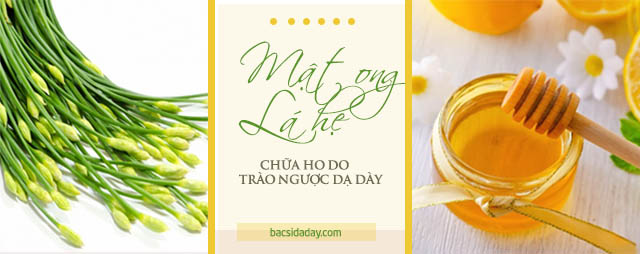 chữa trào ngược dạ dày gây ho