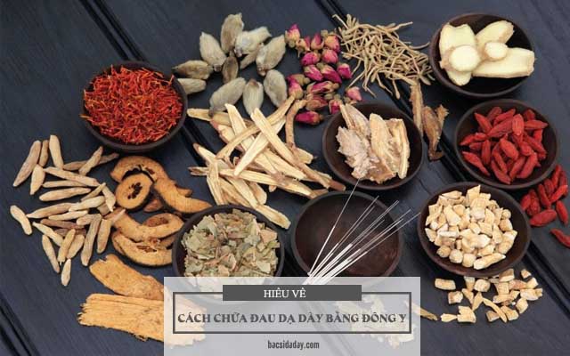 chữa bệnh đau dạ dày bằng Đông y