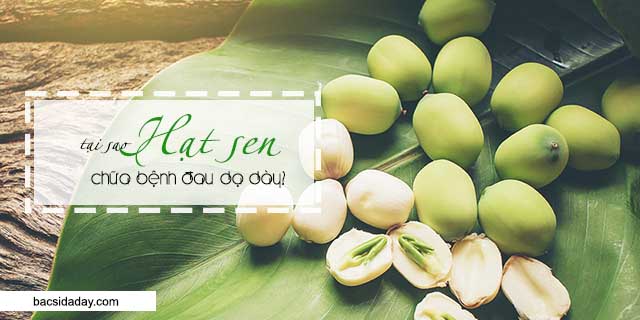 Chữa đau dạ dày bằng hạt sen