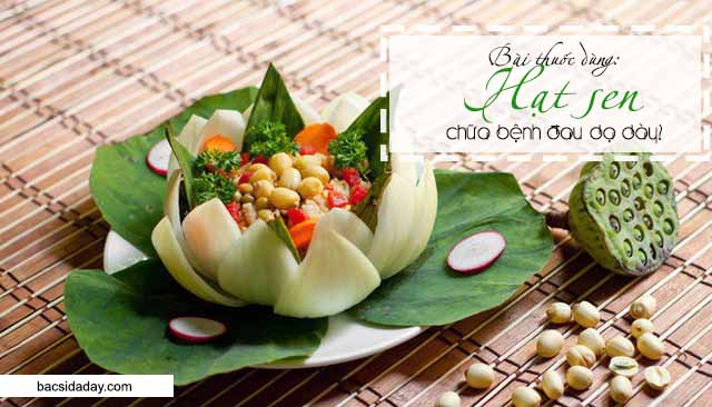 hạt sen chữa đau dạ dày