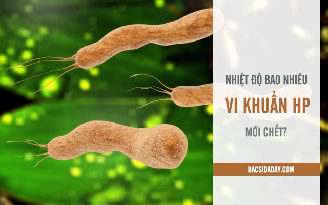 vi khuẩn bị tiêu diệt ở nhiệt độ nào