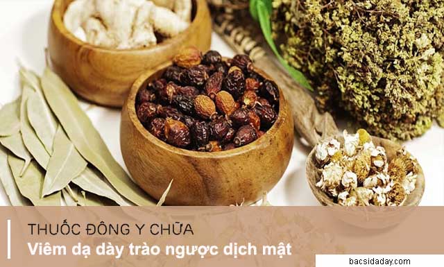 chữa trào ngược dịch mật bằng Đông Y