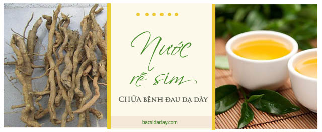 cách chữa đau dạ dày bằng rễ sim