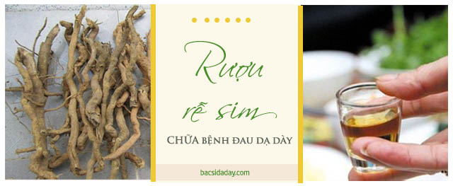 Chữa đau dạ dày bằng rễ sim