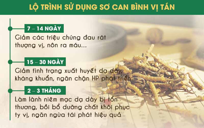 Lộ trình sử dụng bài thuốc Sơ can Bình vị tán chữa đau dạ dày