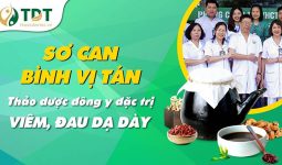 Sơ can Bình vị tán - Bài thuốc chữa HP từ thảo dược Đông y